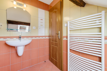 Prodej domu 298 m², Břasy