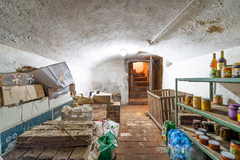 Prodej domu 298 m², Břasy