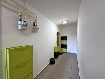 Prodej bytu 3+kk v osobním vlastnictví 91 m², České Budějovice