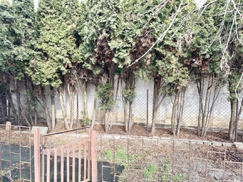 Prodej domu 151 m², Praha 10 - Dolní Měcholupy