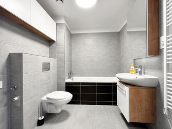 Pronájem bytu 1+kk v osobním vlastnictví 39 m², Plzeň