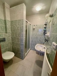 Prodej domu 249 m², Černilov