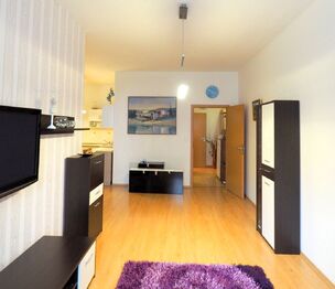 Pronájem bytu 2+kk v osobním vlastnictví 56 m², Šestajovice