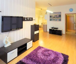 Pronájem bytu 2+kk v osobním vlastnictví 56 m², Šestajovice