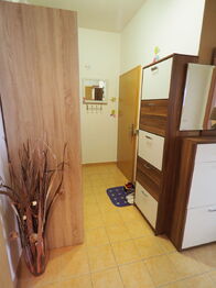 Pronájem bytu 2+kk v osobním vlastnictví 56 m², Šestajovice