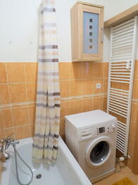 Pronájem bytu 2+kk v osobním vlastnictví 56 m², Šestajovice