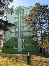 Pronájem bytu 3+1 v osobním vlastnictví 66 m², Ústí nad Labem