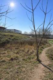 prodej pozemku modřice - Prodej pozemku 962 m², Modřice