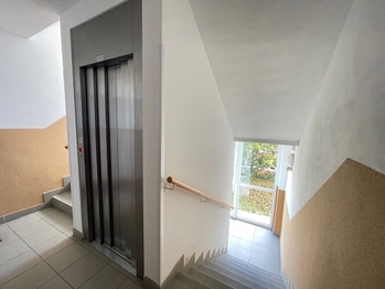 Pronájem bytu 3+1 v osobním vlastnictví 75 m², Praha 9 - Letňany