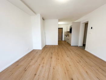 Obývací pokoj s kuchyňským koutem - Pronájem bytu 2+kk v osobním vlastnictví 55 m², Horní Planá