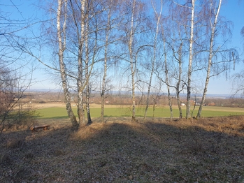Prodej pozemku 71548 m², Chvalovice