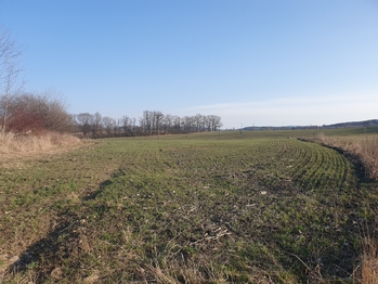 Prodej pozemku 71548 m², Chvalovice