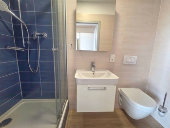 Pronájem bytu 1+kk v osobním vlastnictví 26 m², České Budějovice