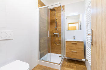 Pronájem bytu 1+kk v osobním vlastnictví 30 m², Praha 3 - Žižkov