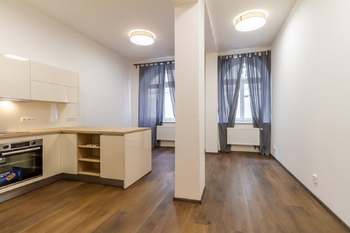Pronájem bytu 1+kk v osobním vlastnictví 30 m², Praha 3 - Žižkov