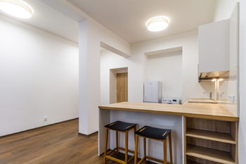 Pronájem bytu 1+kk v osobním vlastnictví 30 m², Praha 3 - Žižkov