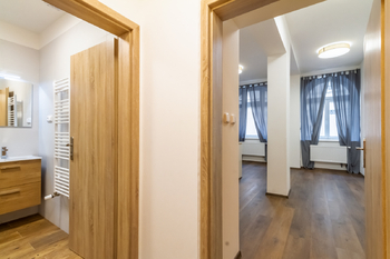Pohled z chodby - Pronájem bytu 1+kk v osobním vlastnictví 30 m², Praha 3 - Žižkov