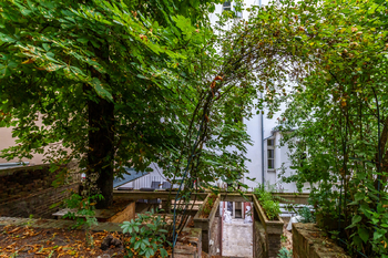 Společná zahrada - Pronájem bytu 1+kk v osobním vlastnictví 30 m², Praha 3 - Žižkov