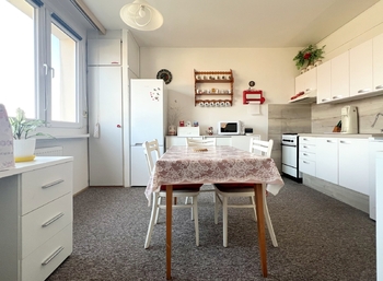 Prodej bytu 1+1 v družstevním vlastnictví 37 m², Ústí nad Labem