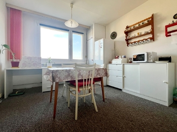 Prodej bytu 1+1 v družstevním vlastnictví 37 m², Ústí nad Labem