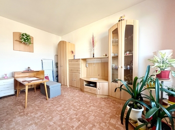 pokoj - Prodej bytu 1+1 v družstevním vlastnictví 37 m², Ústí nad Labem