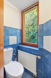 Prodej domu 311 m², Velké Popovice