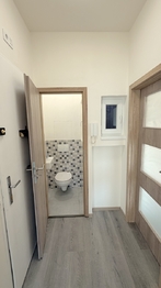 Pronájem bytu 2+kk v osobním vlastnictví 44 m², Praha 7 - Holešovice