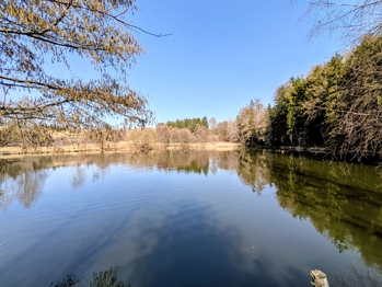 Prodej chaty / chalupy 47 m², Dobrá Voda