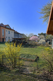 Prodej bytu 3+1 v osobním vlastnictví 143 m², Nové Město na Moravě