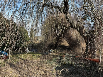 Prodej domu 130 m², Vlachovo Březí