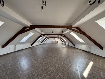 Prodej nájemního domu 1145 m², Petříkov