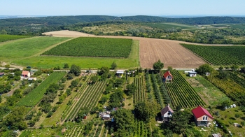 Prodej pozemku 997 m², Mikulov