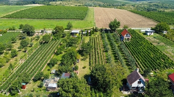 Prodej pozemku 997 m², Mikulov