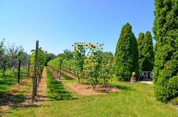 Prodej pozemku 997 m², Mikulov