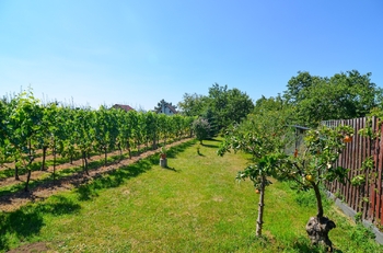 Prodej pozemku 997 m², Mikulov