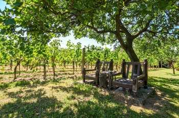 Prodej pozemku 997 m², Mikulov