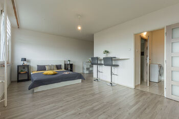 Prodej bytu 1+kk v osobním vlastnictví 33 m², Litvínov