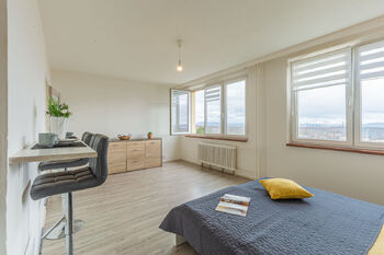 Prodej bytu 1+kk v osobním vlastnictví 33 m², Litvínov