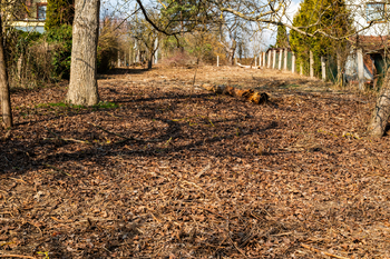 Stavební pozemek, Řícmanice - Prodej pozemku 1209 m², Řícmanice