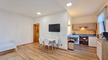 Pronájem bytu 1+kk v osobním vlastnictví 34 m², Praha 4 - Podolí