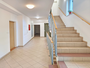 Budova - společné prostory - chodba u bytu a vstup na zahradu.  - Pronájem bytu 2+kk v osobním vlastnictví 60 m², Praha 8 - Libeň