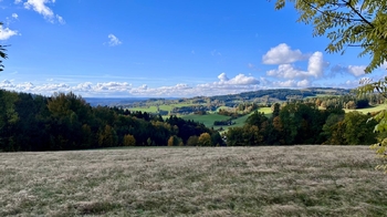 Prodej chaty / chalupy 150 m², Skuhrov