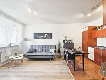 Pronájem bytu 2+kk v osobním vlastnictví 41 m², Vestec