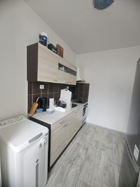 Pronájem bytu 2+1 v družstevním vlastnictví 43 m², Český Těšín