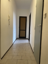 Pronájem bytu 2+1 v osobním vlastnictví 53 m², Břeclav