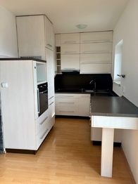 Pronájem bytu 1+kk v osobním vlastnictví 63 m², Lázně Bohdaneč