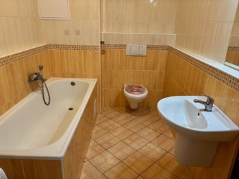 koupelna s WC - Pronájem bytu 1+kk v osobním vlastnictví 63 m², Lázně Bohdaneč