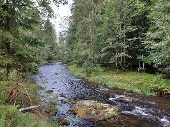 Prodej bytu 1+kk v osobním vlastnictví 20 m², Bayerisch Eisenstein