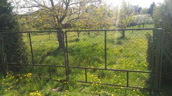 Prodej pozemku 1350 m², Mikulovice