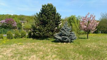 Prodej pozemku 1350 m², Mikulovice